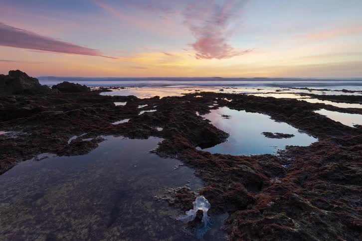 Rocky beach with many tide pools outdoors during day and dusk time