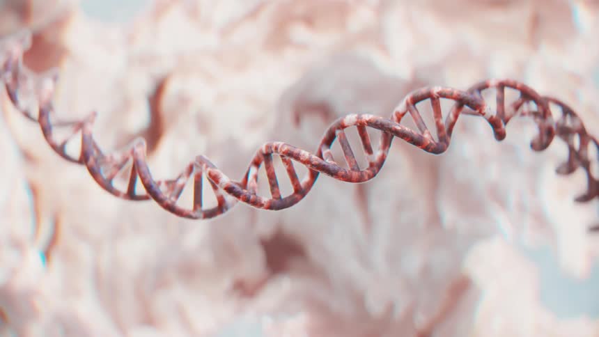 Threedimensional model of a dna double helix against a light background