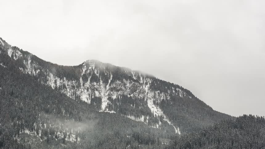 Snow covered mountain with dense forest slopes under a cloudy winter sky