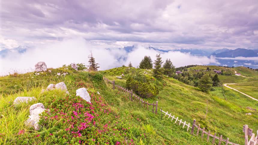 Road winds past hills topped with wildflowers and a fence on a cloudy summer day