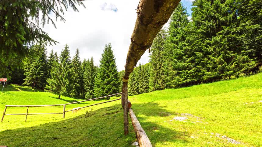 Wooden fence crosses a green field surrounded by trees