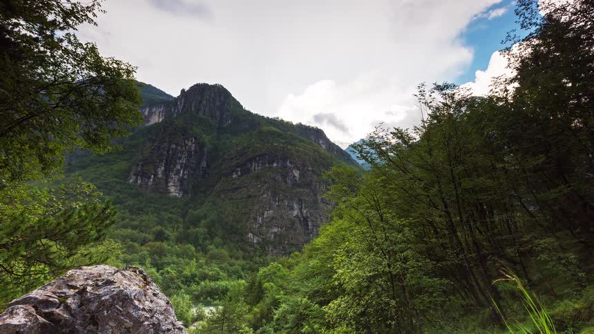 The green trees surround the tall mountain