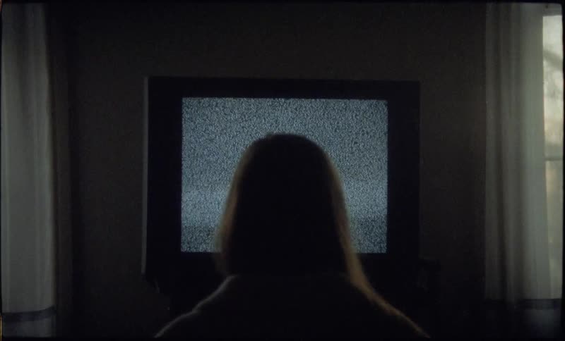 A view from behind shows the back of a woman as she sits in a dark room and watches static on a television screen