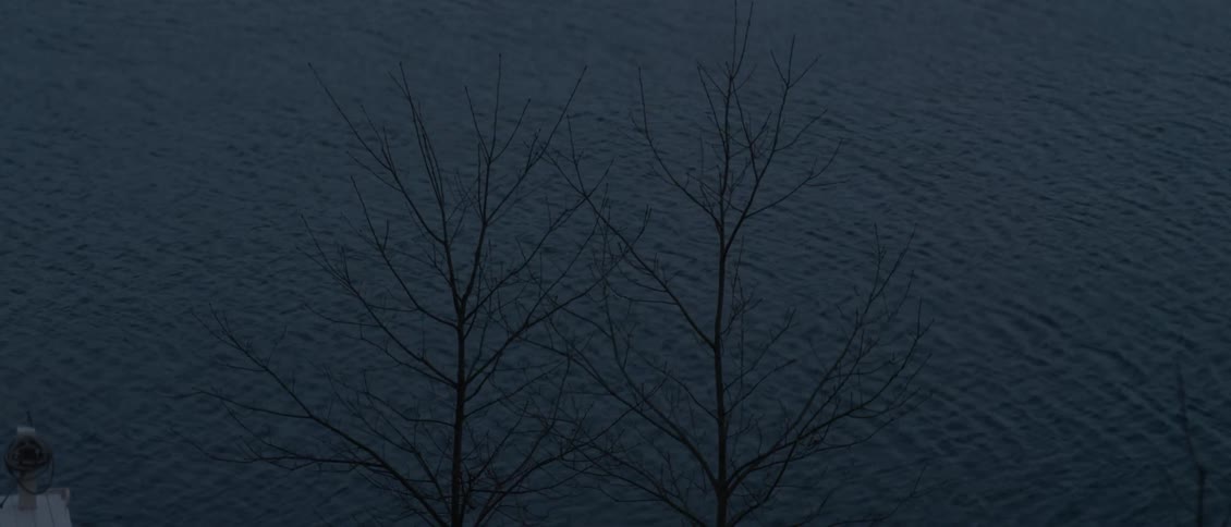The waver moves along the two trees by the shore