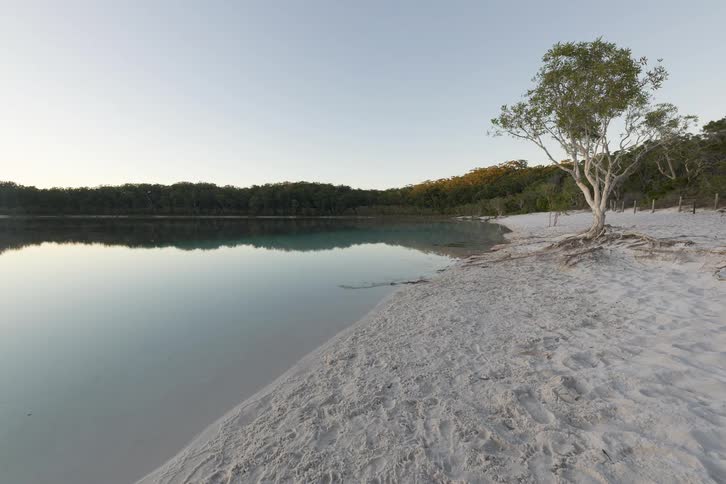 A calm lake beside a sandy shoreline with a lone tree and forested hills in the background