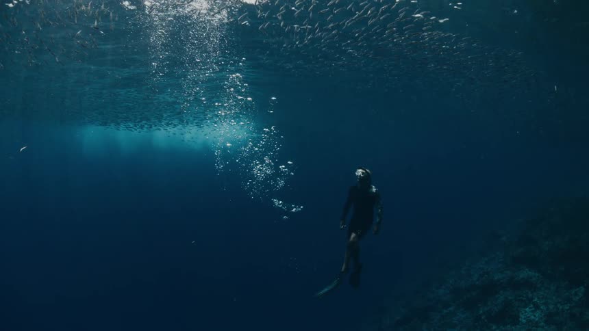 Diver swimming beneath a school of fish near the ocean surface
