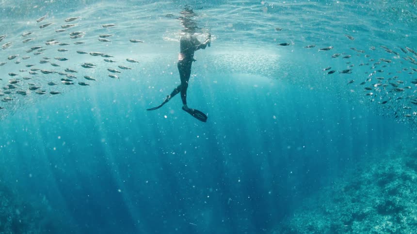 A man wearing black fins and a wetsuit swims toward a massive school of small fish in the deep blue ocean while bright sunbeams pierce through the surface of the water and illuminate the rocky seabed below