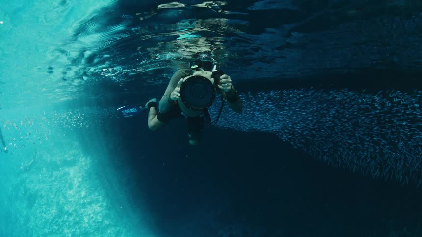 A diver swims through deep blue water while holding a large professional camera to film a massive silver bait ball of small fish moving near a dark rocky underwater cliff and the bright shimmering surface