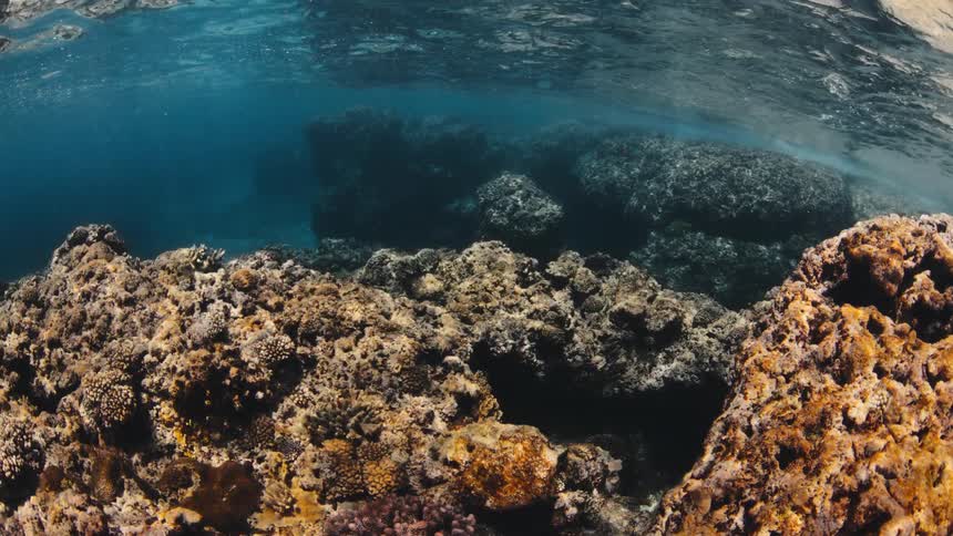 Underwater view of a coral reef and rocky seabed beneath the ocean surface