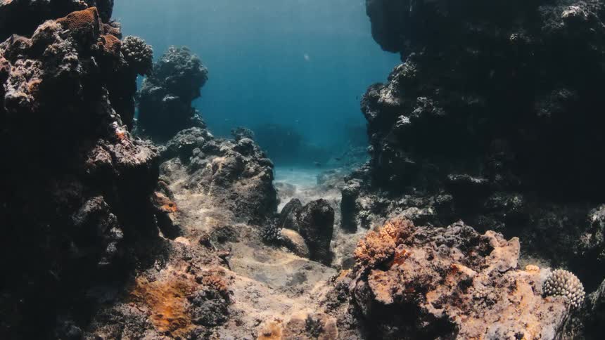 Sunlight shining through the waves plays across the reef and the seafloor