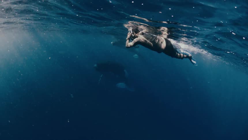 The man is snorkeling while filming the sea life