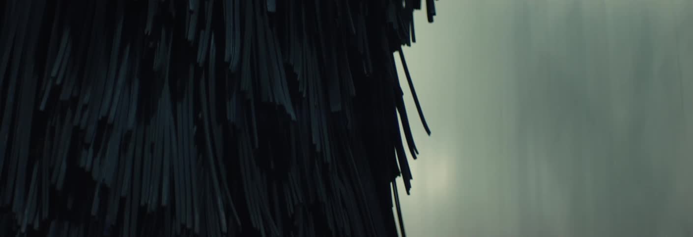 Rubber strip brush in an automatic car wash machine