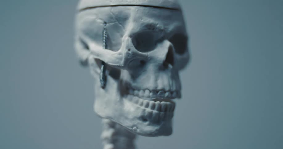 A close view shows the skull of a white skeleton model as it remains still in a room with dim light