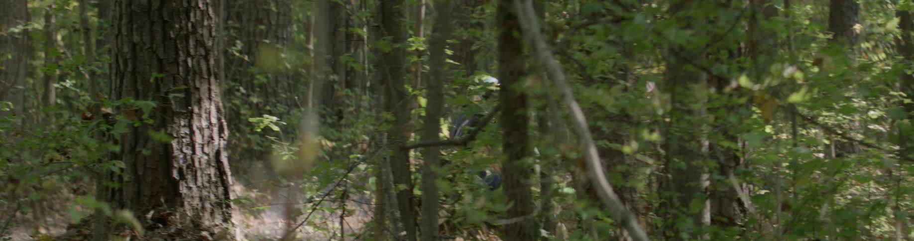 A person rides a dirt bike in the woods