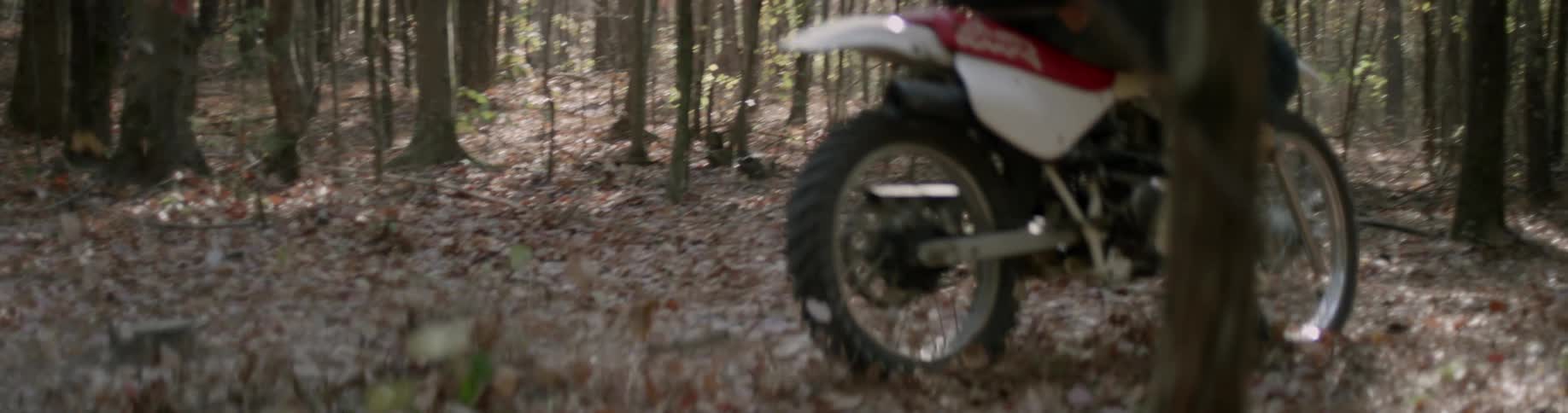 A person rides a dirt bike in the woods