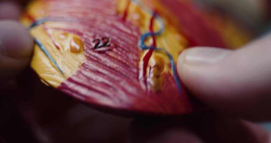 Extreme closeup of hand carefully examining a detailed section of an anatomical heart model
