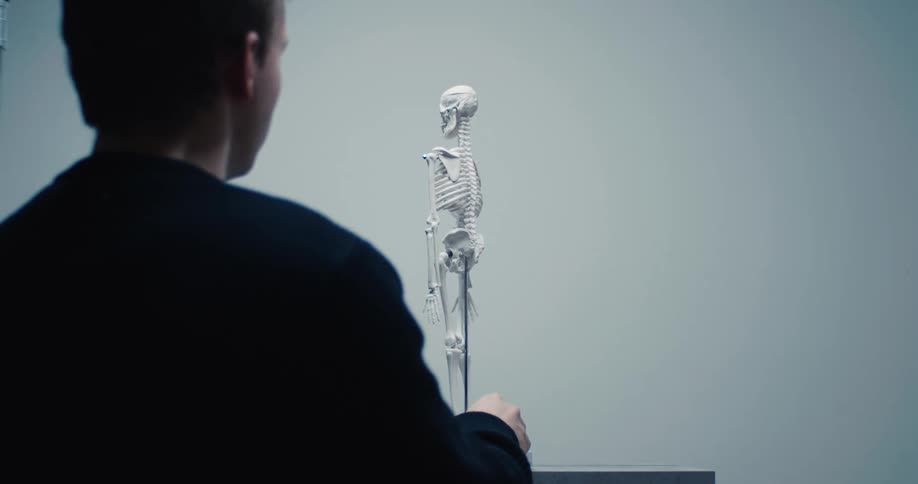 A man rotates a small anatomical skeleton model on a stand while observing it