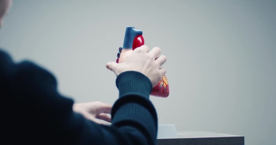 A woman in a black sweater rotates an anatomical heart model on a metal stand before removing a section of the front wall to reveal the internal chambers and valves against a plain grey background