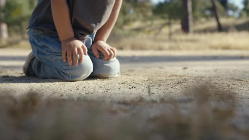 A young girl in a grey shirt and blue jeans kneels on a dusty dirt path during a sunny day while looking to ants in the ground with tall pine trees and dry vegetation blurred in the distance