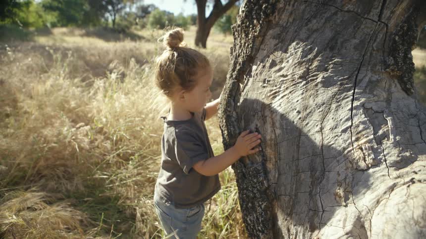 Young girl leans against the large trunk of a twisted tree during the daytime