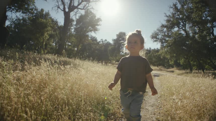 A young child with hair tied in a bun walks slowly along a dirt path through a sundrenched fieldgolden sunlight filters through the surrounding oak trees illuminating the tall dry grass as the child moves toward the camera