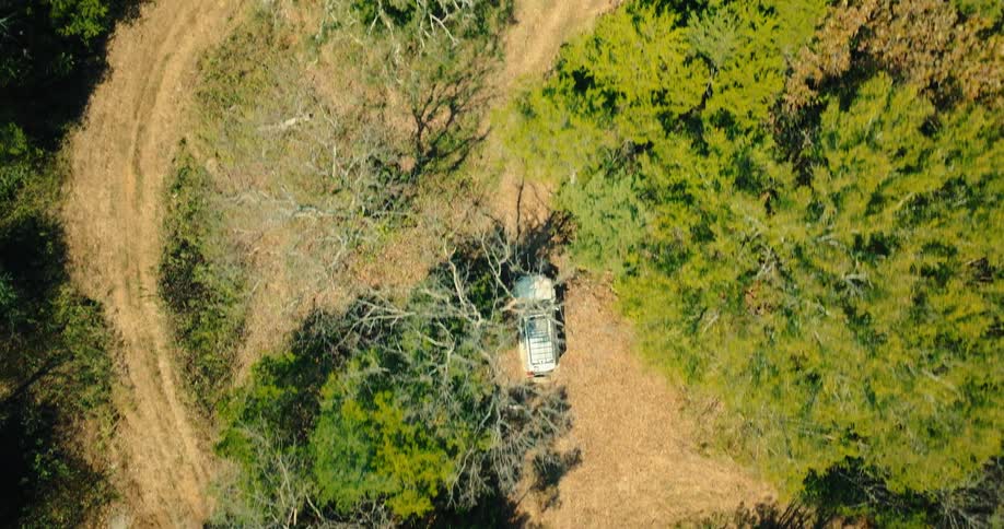 Vehicle traveling along a trail surrounded by vegetation