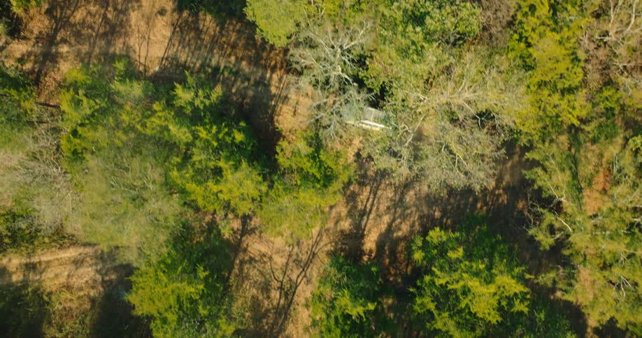 Aerial view of a van traveling on a dirt road through rural woodland