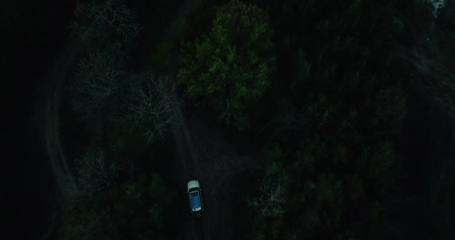 The truck drives through the woods by the highway