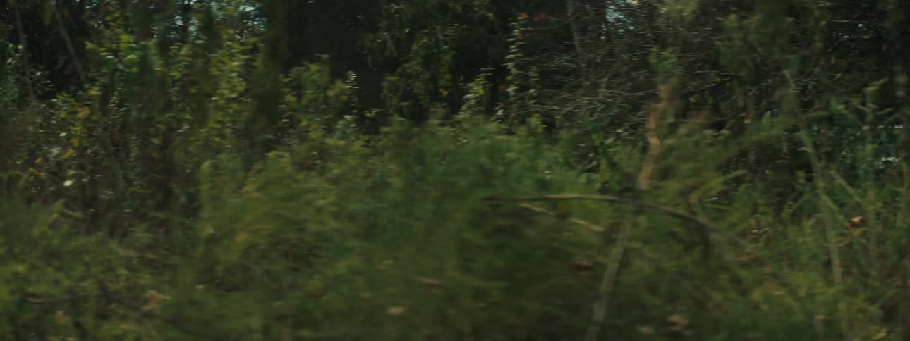 A tan off road vehicle covered in mud drives quickly across a field of dry leaves and kicks up a large cloud of dust before moving through a forest