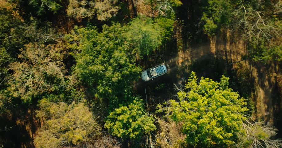 A top down aerial shot shows a silver vehicle as it drives along a narrow dirt road through a dense forest with green and autumn colored trees during the day
