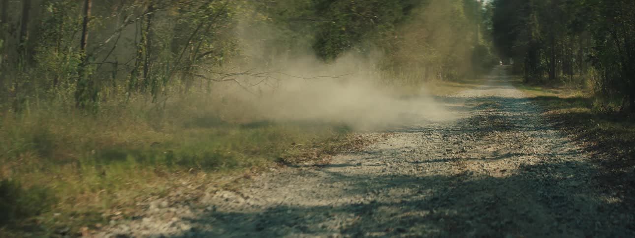 A view shows a gravel road through a forest as a cloud of dust settles after a vehicle has passed