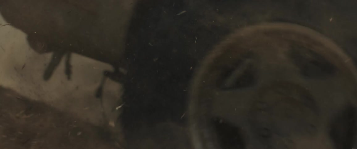 A vehicle driving outdoors in dirt