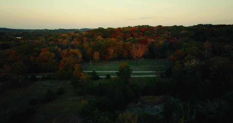 Aerial view of a large forest with trees in green and brown tones