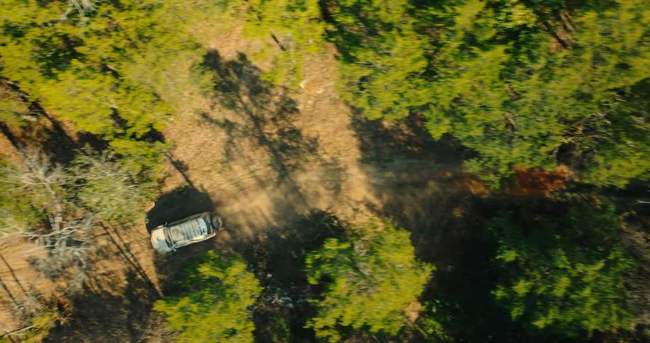 Vehicle drives along a dirt road surrounded by trees in an aerial view