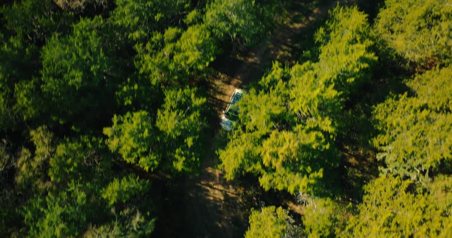 Aerial view of an off road suv driving a dirt trail in a dense forest sharply focused against blurred trees