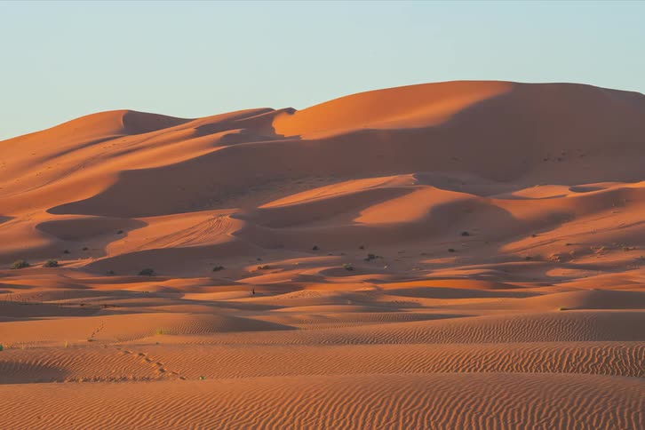 People walk past the scarce scrub growing in the desert near the base of a large dune