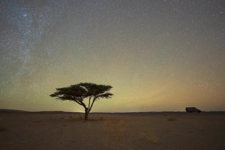 This timelapse video captures a vast desert landscape transitioning from a brilliant starfilled night sky to the first light of dawn a lone acacia tree and a parked vehicle remain still as the milky way rotates overhead and the horizon glows with the