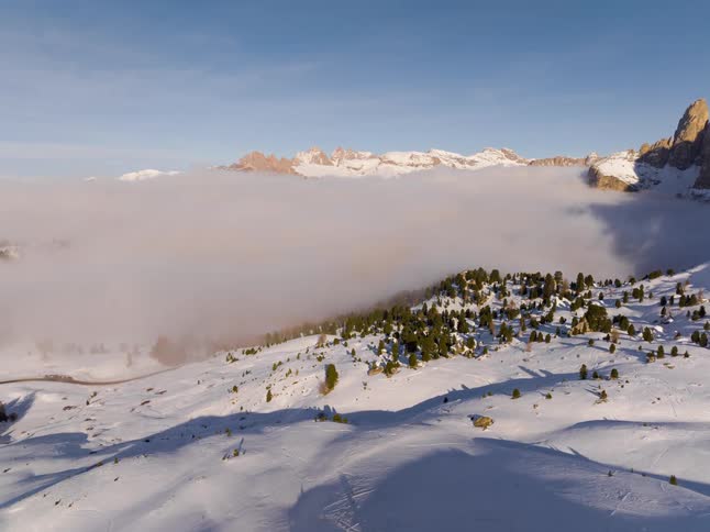 An aerial view shows a snowy mountain slope with pine trees above a thick layer of clouds
