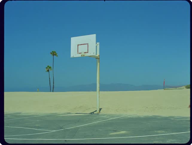 Man on a court next to a sandy beach with palm trees under a blue sky
