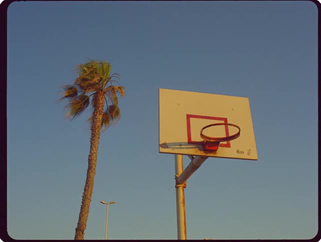 Man makes a shot at an outdoor basketball court near a palm tree on a summer day