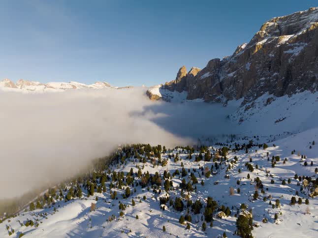 Snowcovered mountains rise above a forest and a layer of clouds under a clear sky