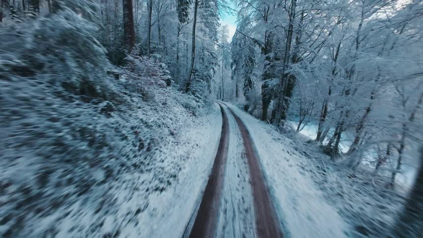 Narrow snowcovered road passing through forest