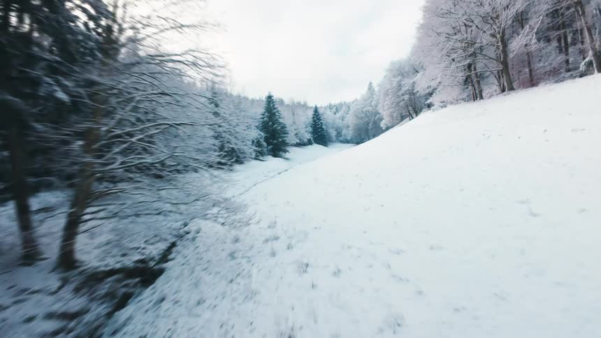 A snowy hillside lined with frosted trees stretches toward a small cluster of evergreen pines under a pale winter sky