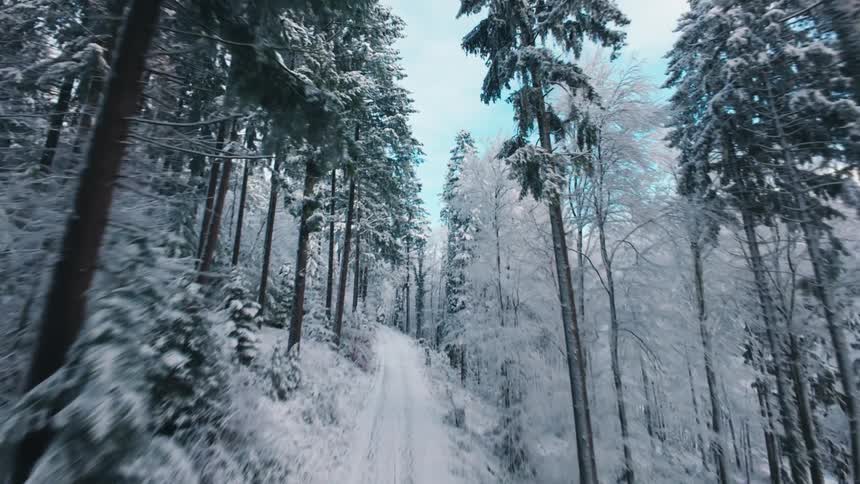 A fast moving camera follows a narrow snow covered road through a dense forest of frost covered trees under a bright winter sky before tilting up toward the snowy treetops