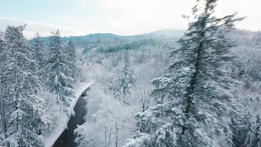 A drone flies low over snow covered pine trees in a winter forest revealing a dark winding road that cuts through the white landscape toward distant misty mountains under a bright overcast sky