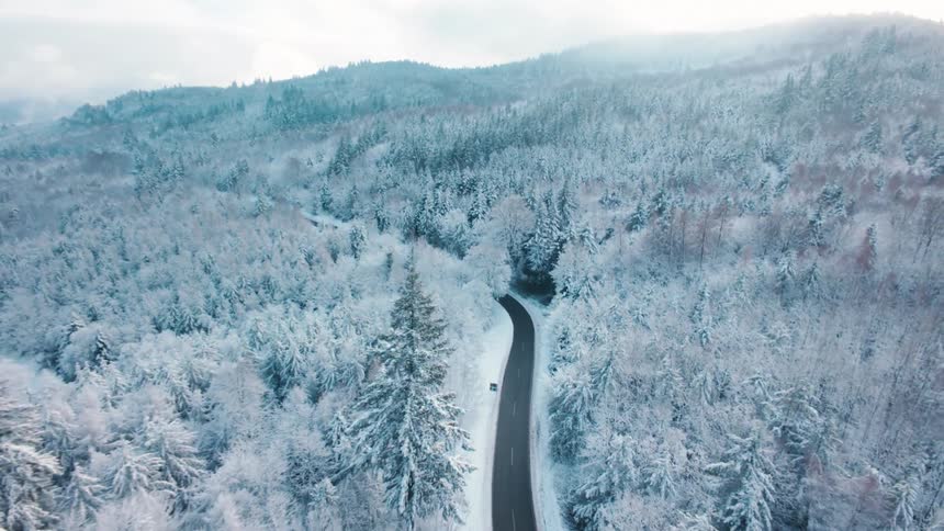Snowcovered pine forest stretches across hills under a cloudy sky