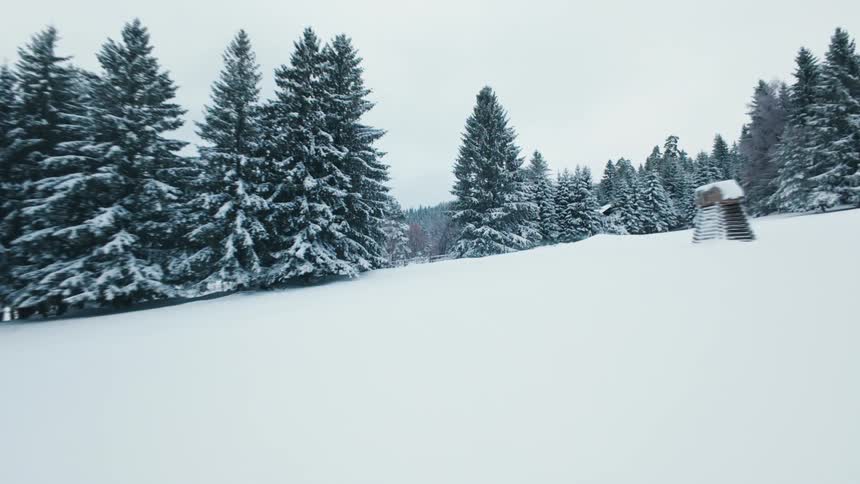 A dense winter forest where tall pine trees are heavily coated in white snow under a grey sky eventually passing a wooden fence and a small structure in a wide open clearing covered in deep powder