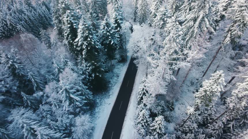 An aerial view of a forest covered in snow