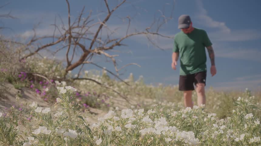 Man walking through a rural field filled with wildflowers