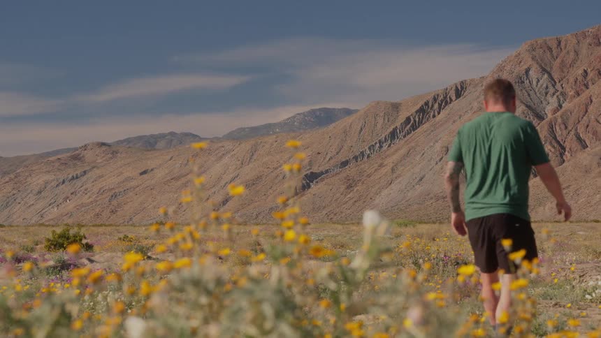 Man walks through a field of wildflowers with mountains in the background